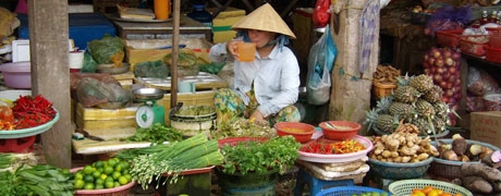 Vietnam_460x180