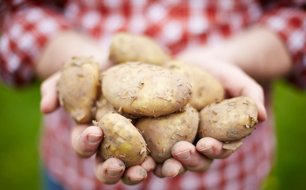 istock_000039157886_large-1