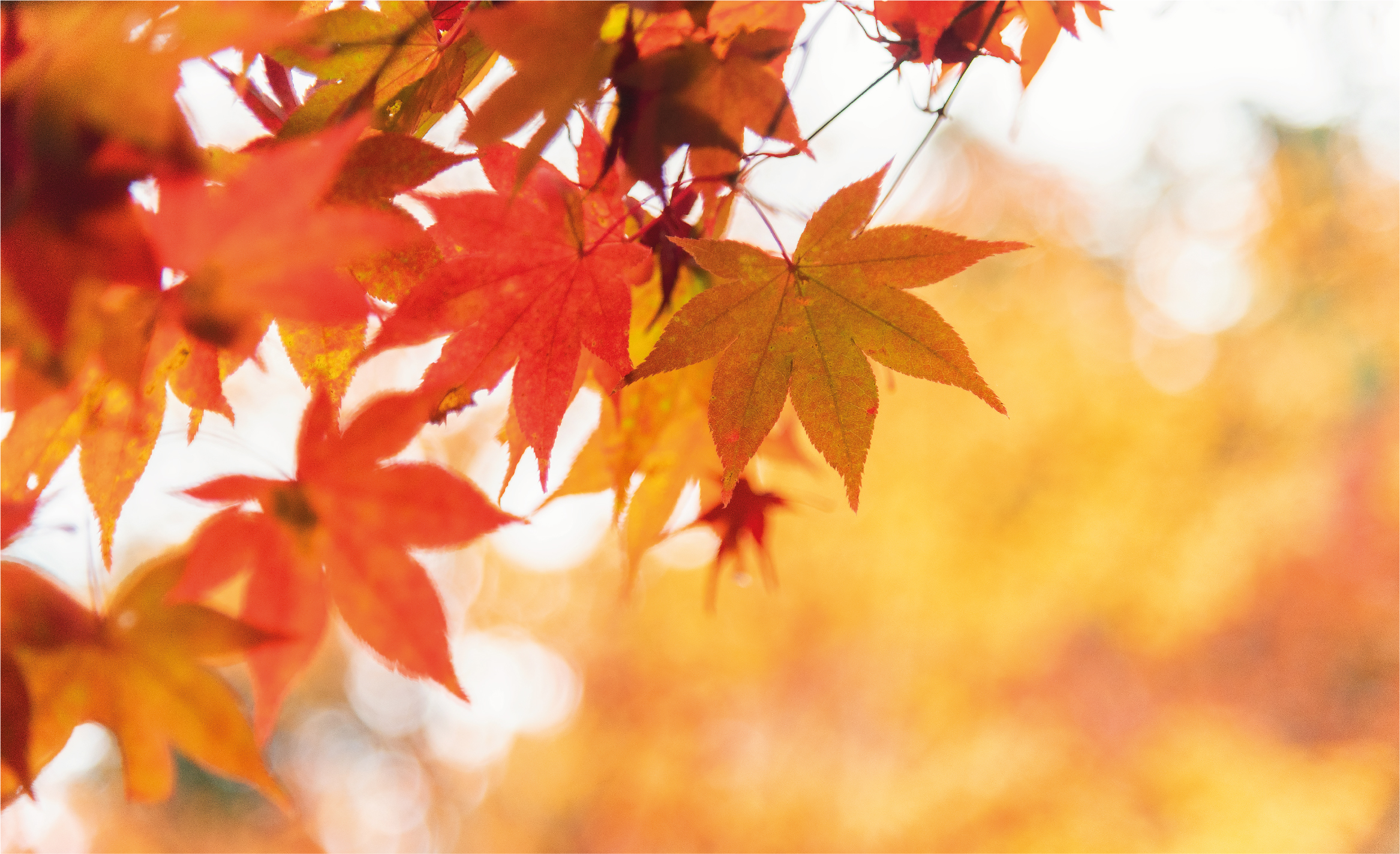 herfstdip