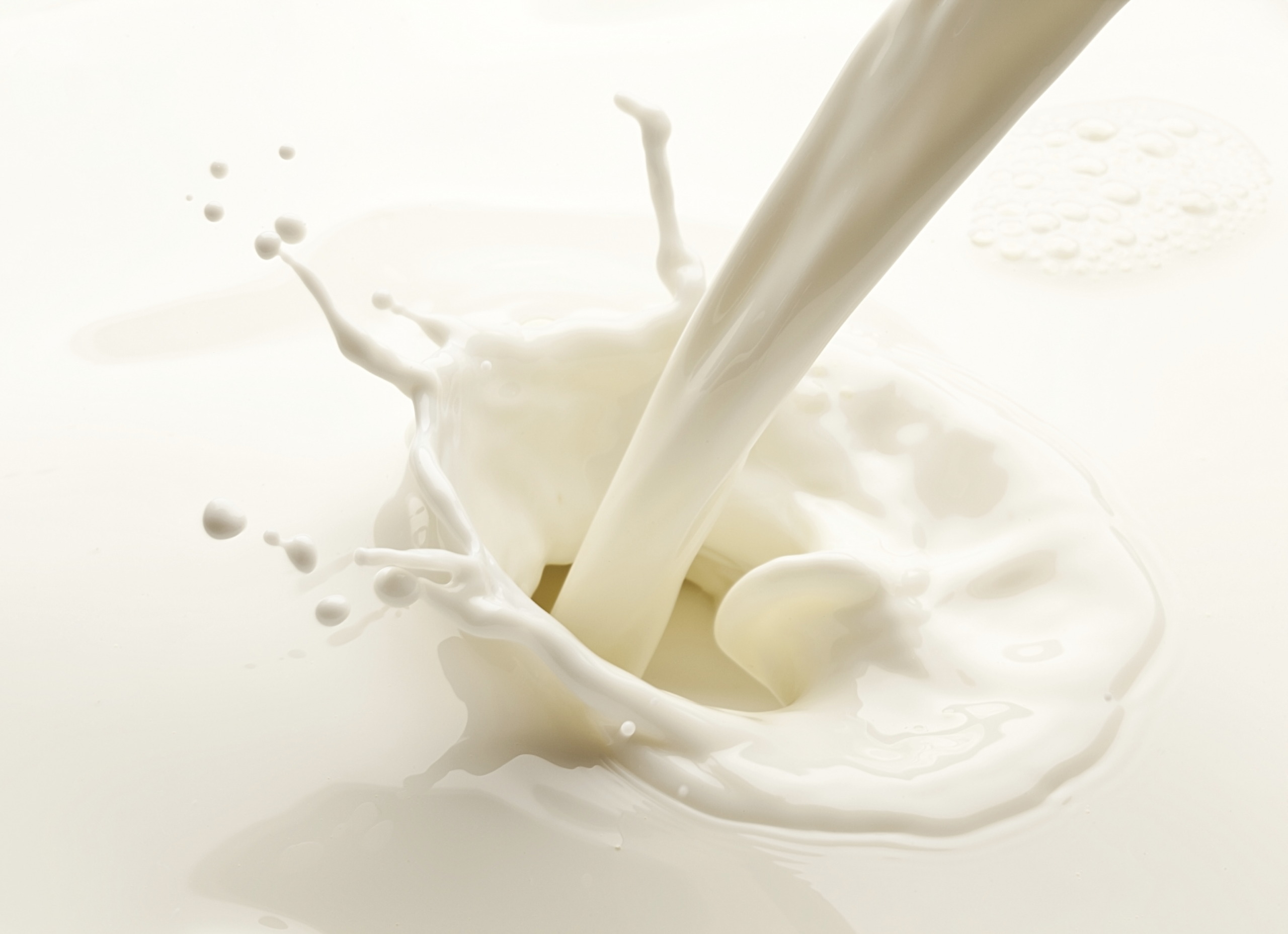 Splash of milk on a white background