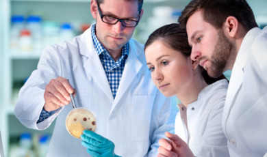 istock-484444598