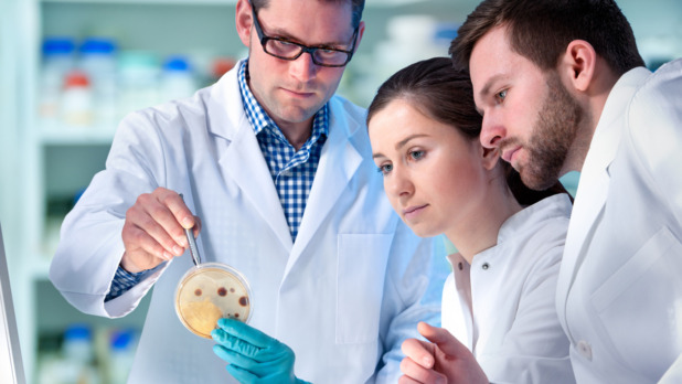 istock-484444598