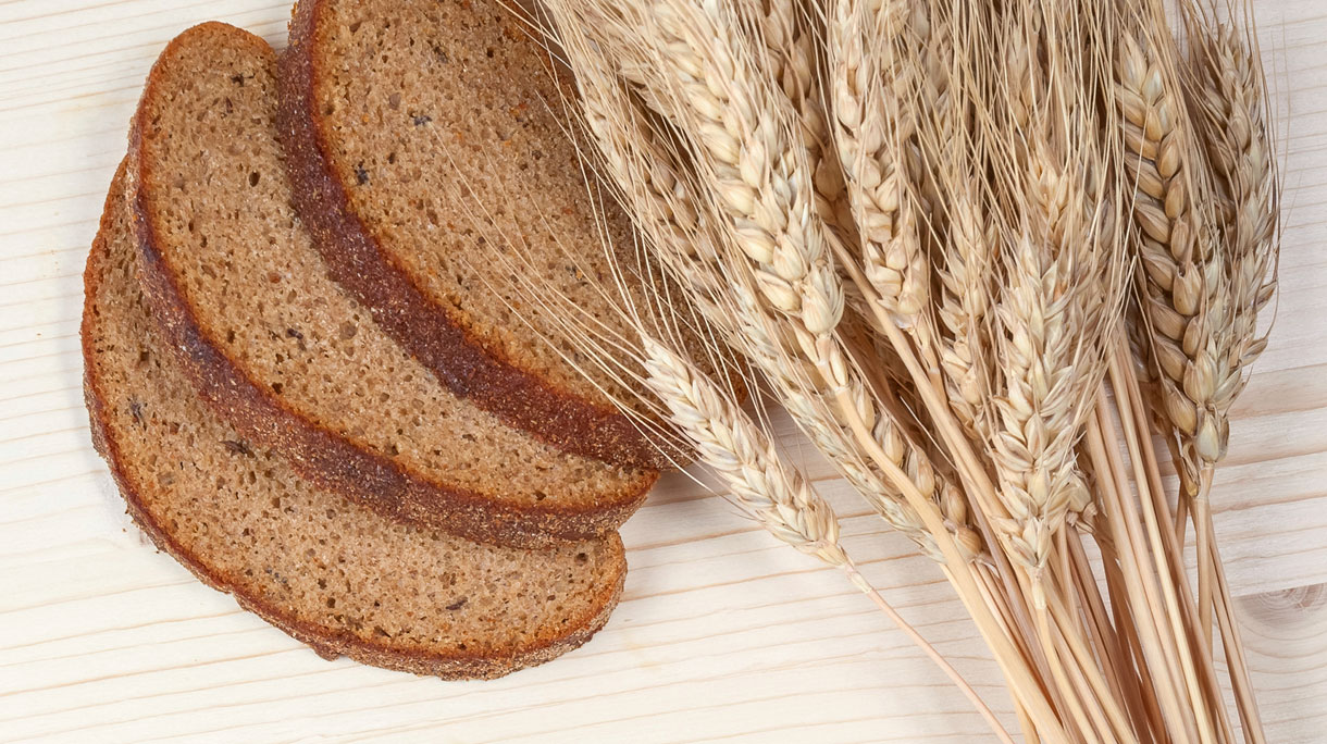 brood_0