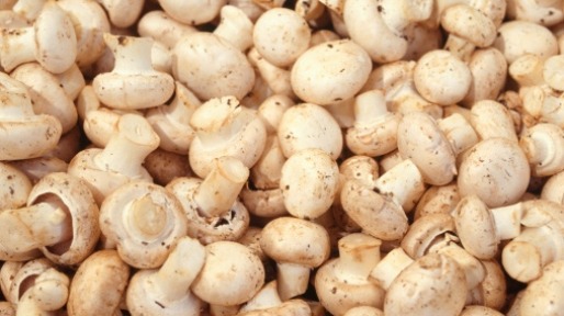 Andijviemetchampignons_507x338