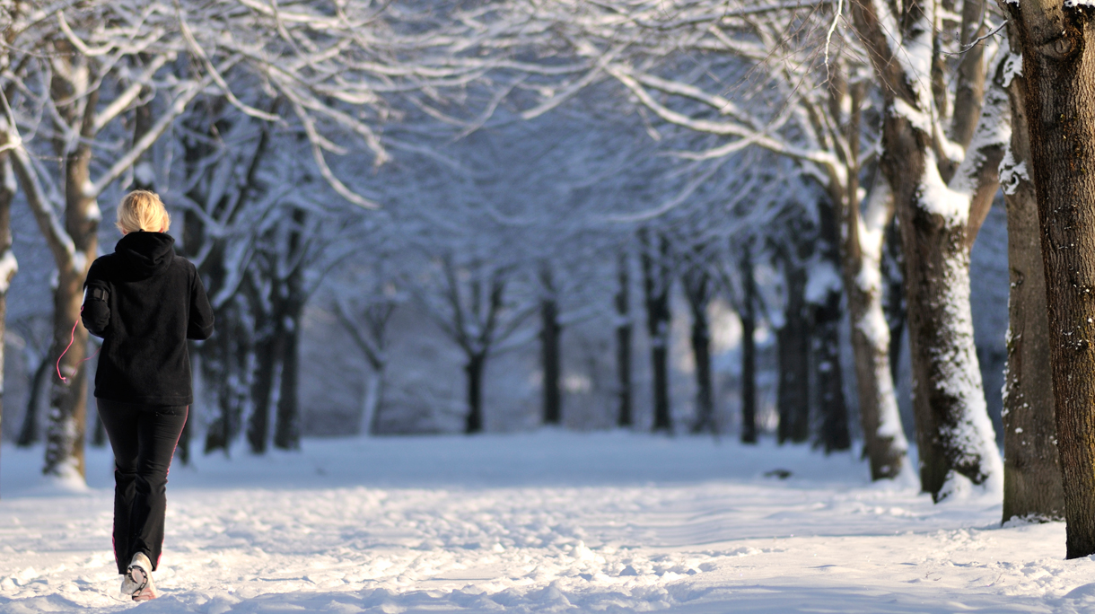 istock_000008637289_large