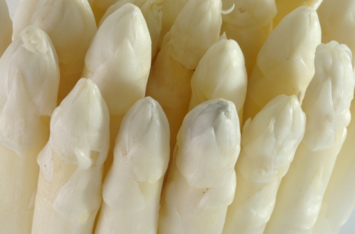 asperges_509x336