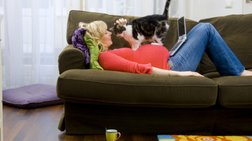 istock_000006261846_large