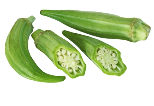 Okra_496x343