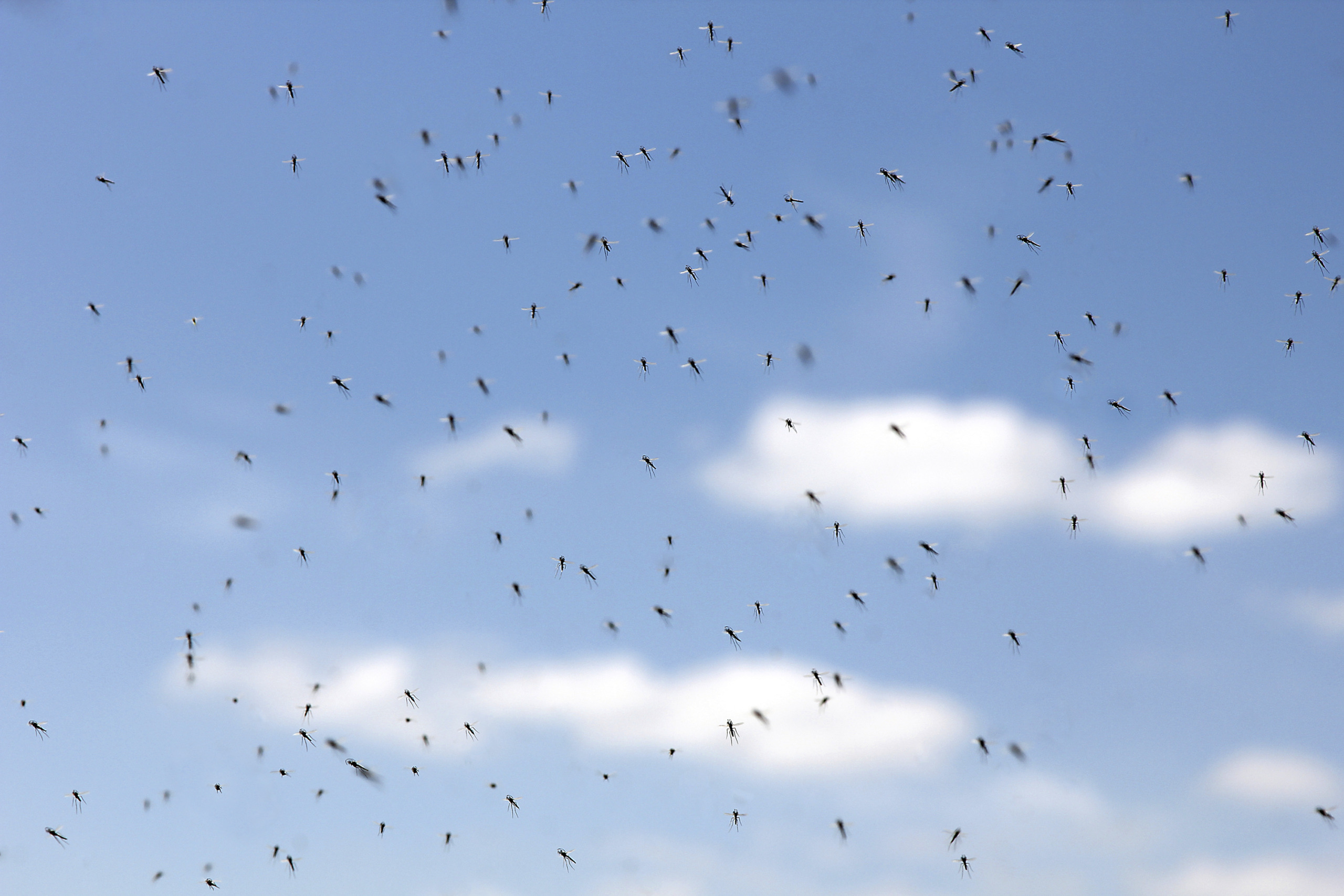 istock_000040427734_large