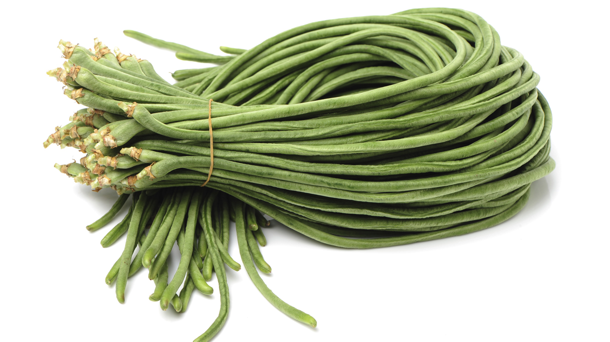 Cowpea