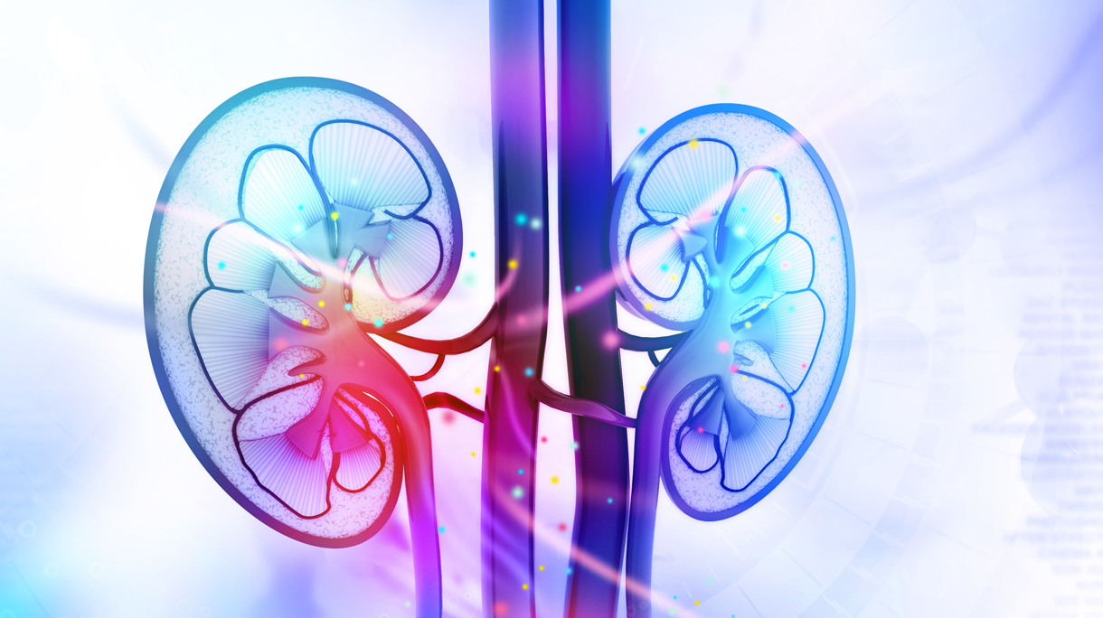 istock_81455103_large