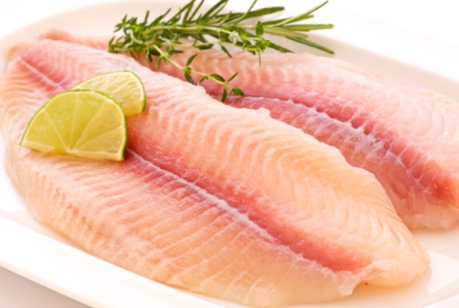 pangasiusfilet_505x339