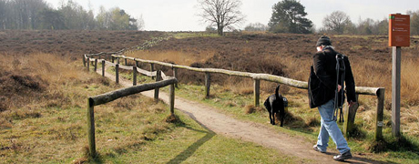 havelterberg_origineel