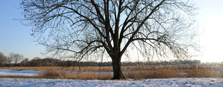 wandelenhella2_460x180