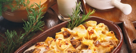 winterschotel_460x180