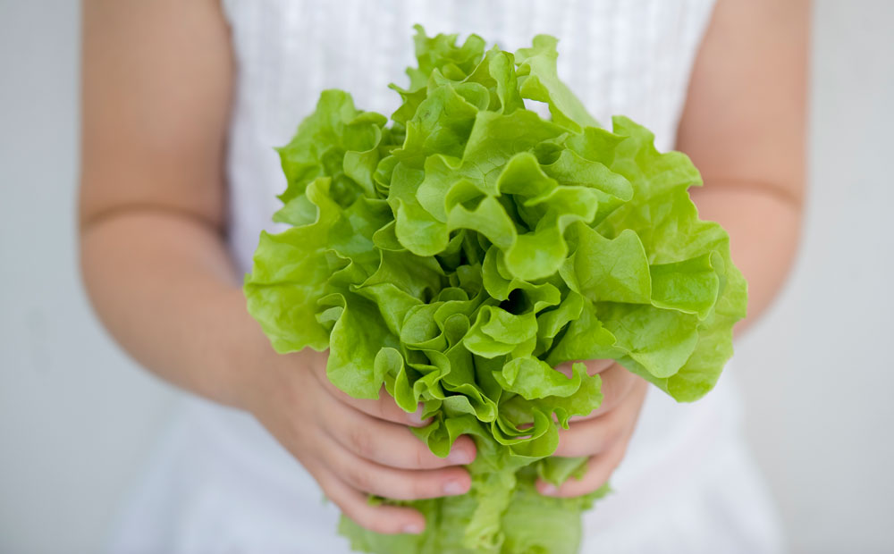 istock_000017088594_large