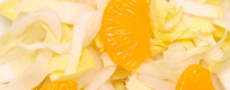 witlof3_460x180