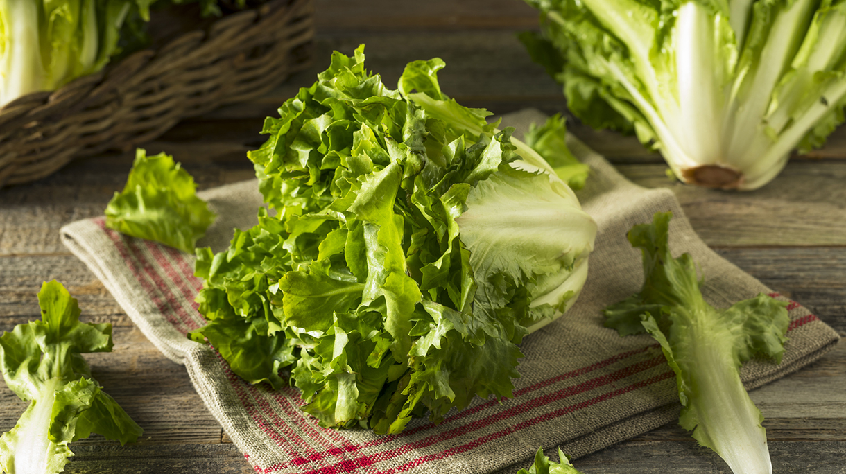 Raw Green Organic Escarole Lettuce