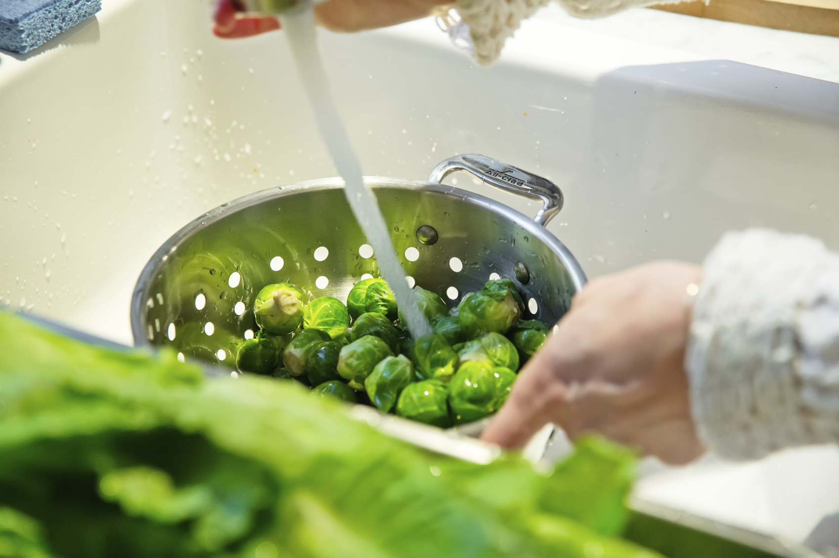 istock_000060038948_medium