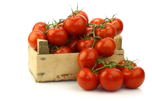 tomaten3_507x338