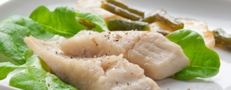 gestoofdetilapia_460x180