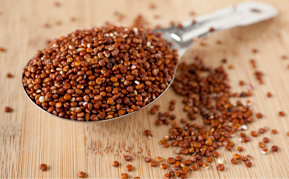 istock_000016215333_large