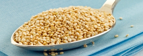 quinoa_460x180