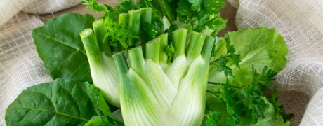 saladevenkel_460x180