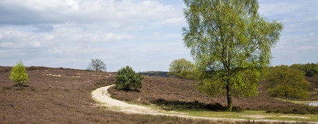 veluwe_460x180