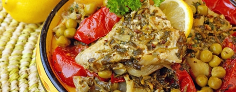vischermoula_460x180