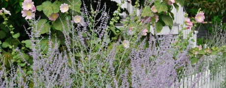 de_engelse_tuin_460x180