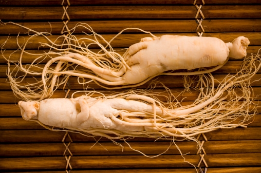 ginseng_508x337