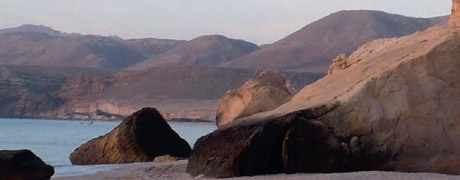 op_de_fiets_door_oman_460x180