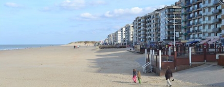 belgie_strand_460x180