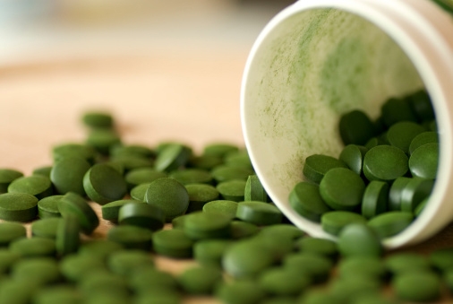 chlorella_506x339