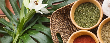 exotisch_460x180