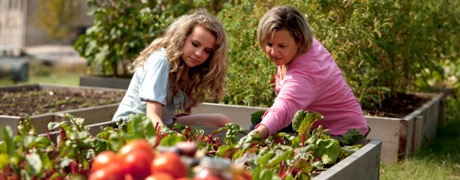 potager_460x180