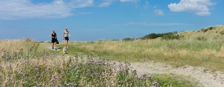 waddenwissel_460x180