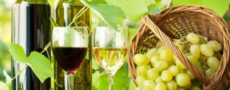 3471342-Test-de-lekkerste-zoete-wijn_460x180