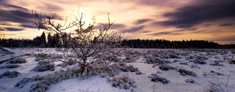 ardennen_460x180