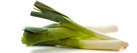 prei_460x180