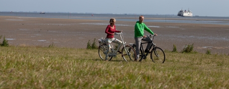 fietsen_460x180