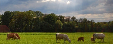 fietsrouteoverijssel_460x180