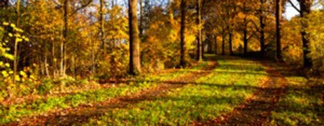 landgoedtimthumb_460x180