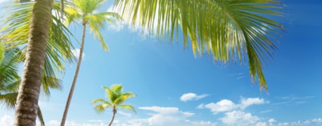 strandtop5_460x180