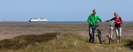 texel3_460x180