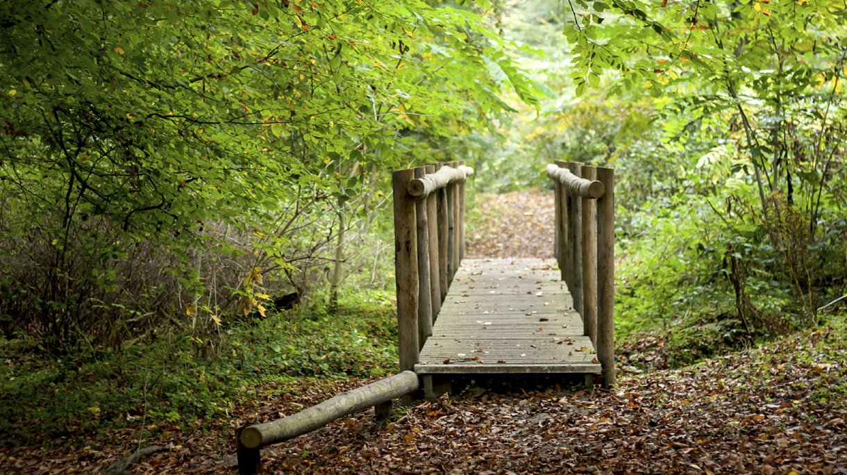 istock_000050650572_medium