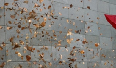 zwarestorm_460x180