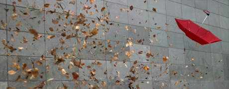 zwarestorm_460x180