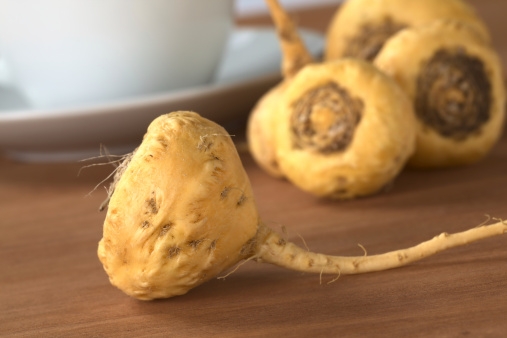 Maca_507x338